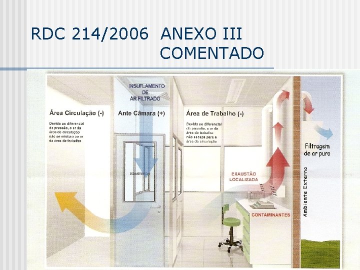 RDC 214/2006 ANEXO III COMENTADO 