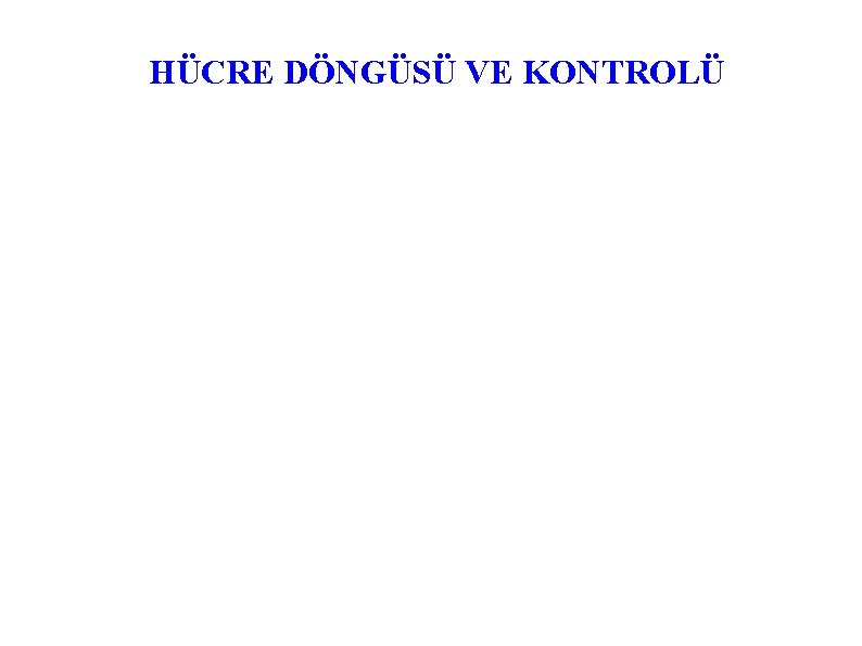 HÜCRE DÖNGÜSÜ VE KONTROLÜ 