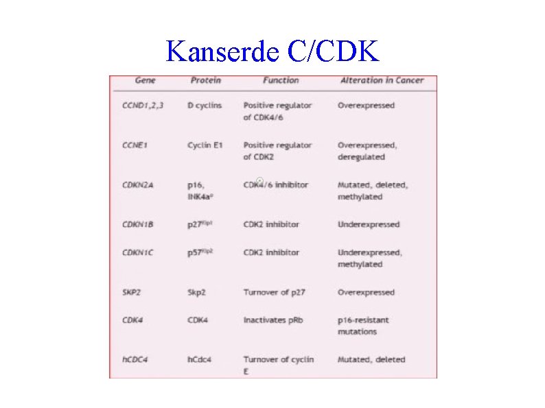 Kanserde C/CDK 