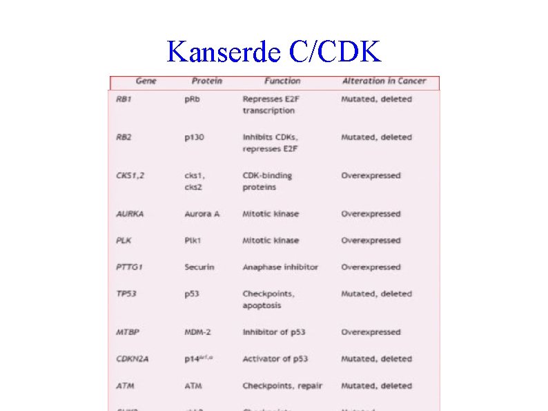 Kanserde C/CDK 