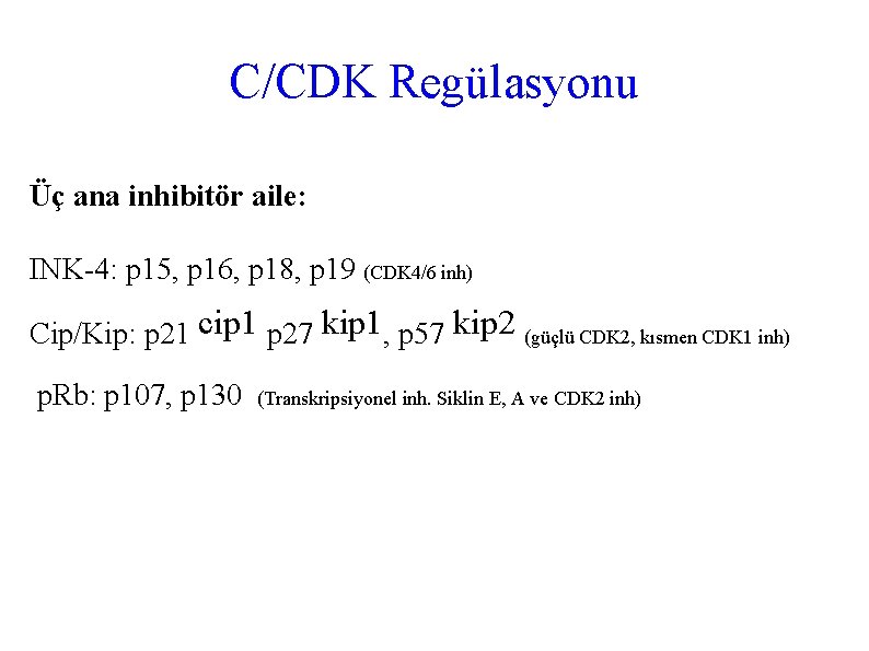 C/CDK Regülasyonu Üç ana inhibitör aile: INK-4: p 15, p 16, p 18, p