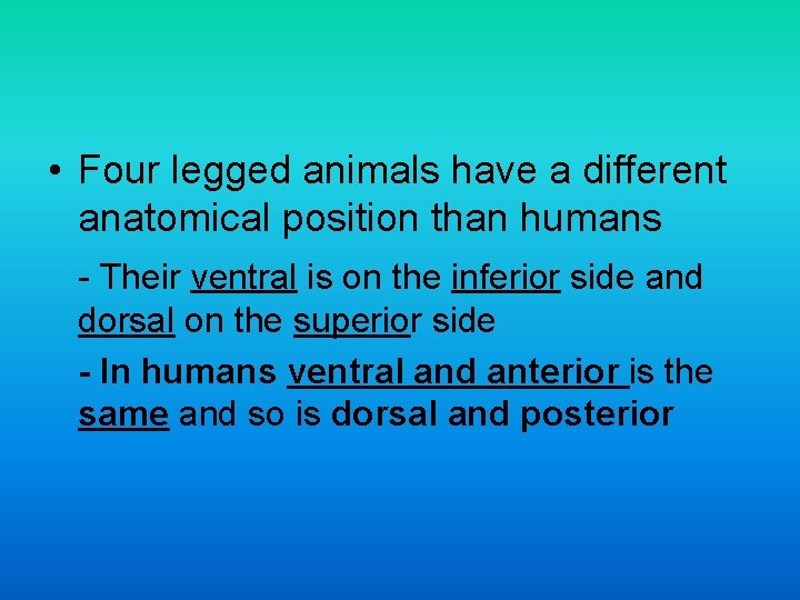 • Four legged animals have a different anatomical position than humans - Their • Four legged animals have a different anatomical position than humans - Their