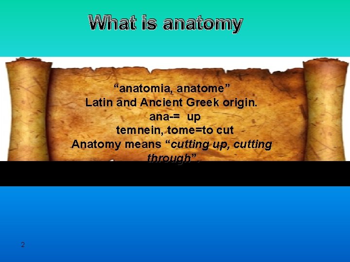 What is anatomy “anatomia, anatome” Latin and Ancient Greek origin. ana-= up temnein, tome=to