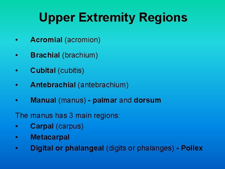Upper Extremity Regions • Acromial (acromion) • Brachial (brachium) • Cubital (cubitis) • Antebrachial Upper Extremity Regions • Acromial (acromion) • Brachial (brachium) • Cubital (cubitis) • Antebrachial