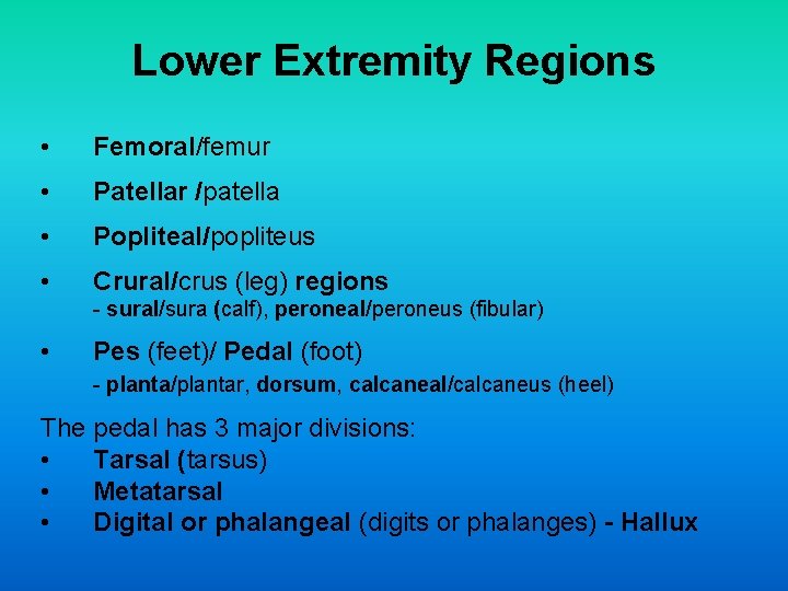 Lower Extremity Regions • Femoral/femur • Patellar /patella • Popliteal/popliteus • Crural/crus (leg) regions Lower Extremity Regions • Femoral/femur • Patellar /patella • Popliteal/popliteus • Crural/crus (leg) regions