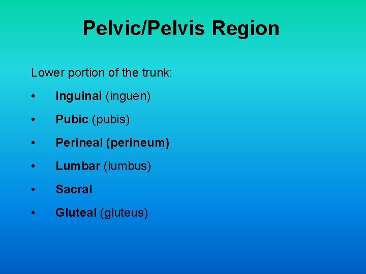 Pelvic/Pelvis Region Lower portion of the trunk: • Inguinal (inguen) • Pubic (pubis) •