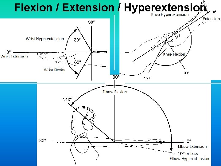Flexion / Extension / Hyperextension 