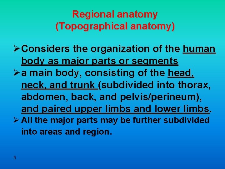 Regional anatomy (Topographical anatomy) Ø Considers the organization of the human body as major