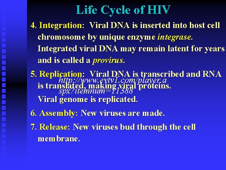 Life Cycle of HIV 4. Integration: Viral DNA is inserted into host cell chromosome