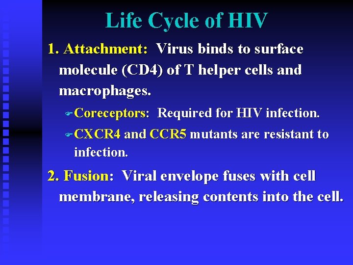 Life Cycle of HIV 1. Attachment: Virus binds to surface molecule (CD 4) of