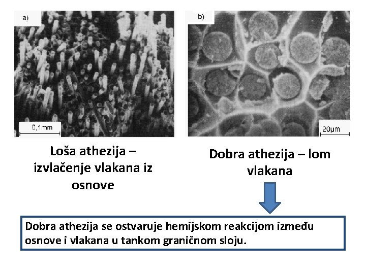 Loša athezija – izvlačenje vlakana iz osnove Dobra athezija – lom vlakana Dobra athezija