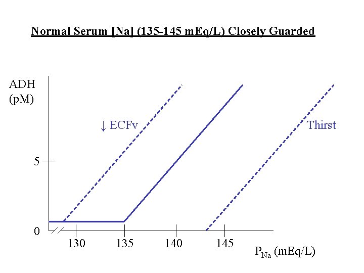 Normal Serum [Na] (135 -145 m. Eq/L) Closely Guarded ADH (p. M) ↓ ECFv