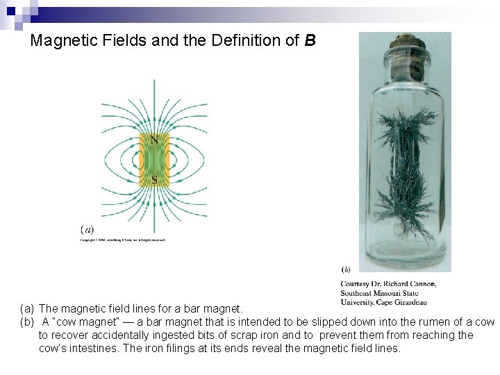 Magnetic Fields and the Definition of B (a) The magnetic field lines for a