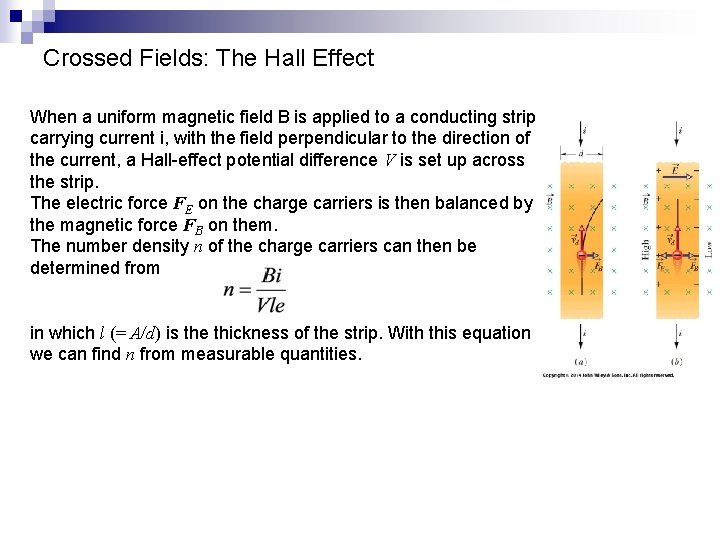 Crossed Fields: The Hall Effect When a uniform magnetic field B is applied to