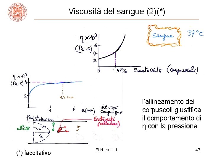 Viscosità del sangue (2)(*) l’allineamento dei corpuscoli giustifica il comportamento di η con la