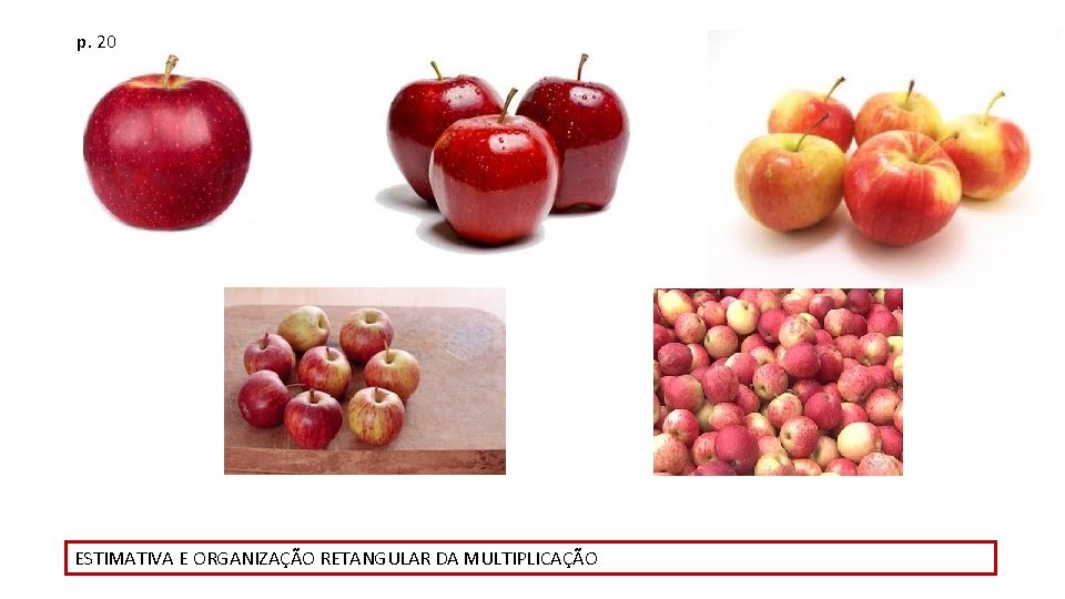 p. 20 ESTIMATIVA E ORGANIZAÇÃO RETANGULAR DA MULTIPLICAÇÃO 
