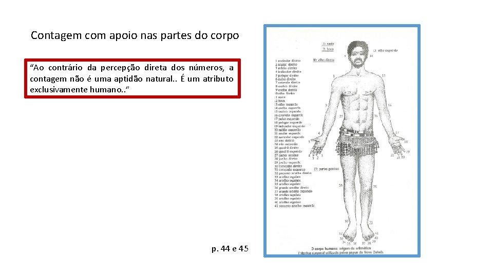 Contagem com apoio nas partes do corpo “Ao contrário da percepção direta dos números,