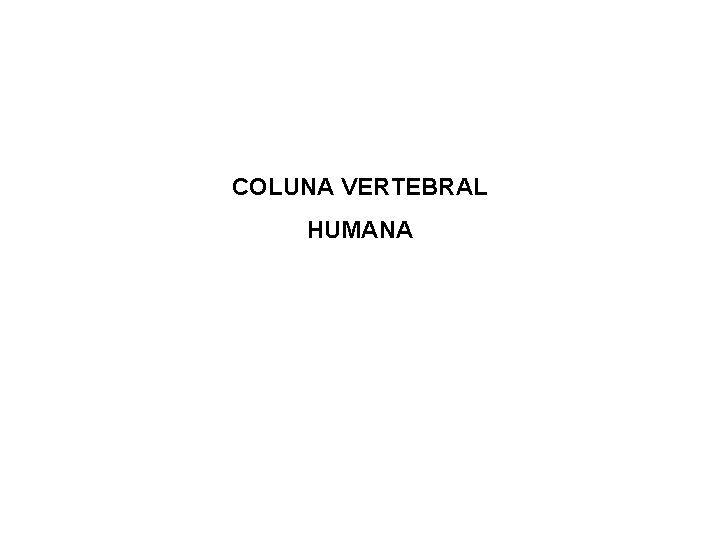 COLUNA VERTEBRAL HUMANA 