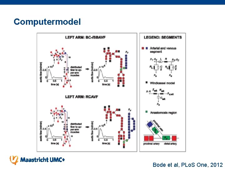 Computermodel Bode et al, PLo. S One, 2012 