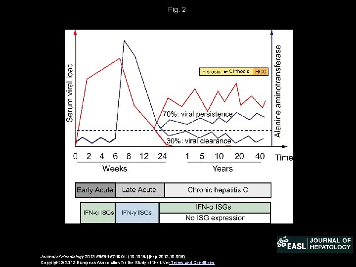 Fig. 2 Journal of Hepatology 2013 58564 -574 DOI: (10. 1016/j. jhep. 2012. 10.