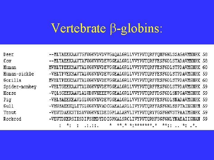 MSA multiple sequence alignment Aligning many sequences is