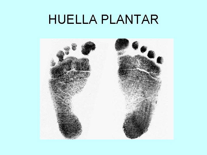 HUELLA PLANTAR 