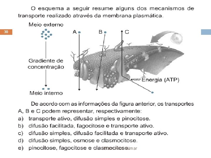 30 Elab. : Prof. Gilmar 