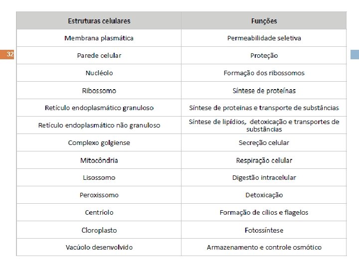 32 Elab. : Prof. Gilmar 