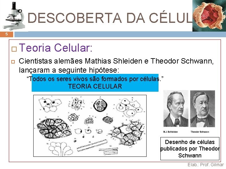 A DESCOBERTA DA CÉLULA 5 Teoria Celular: Cientistas alemães Mathias Shleiden e Theodor Schwann,