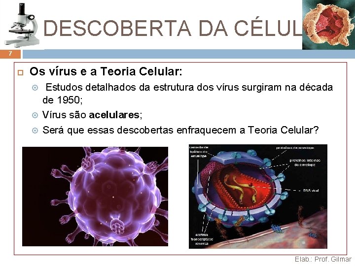 A DESCOBERTA DA CÉLULA 7 Os vírus e a Teoria Celular: Estudos detalhados da