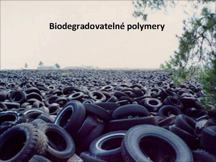 Biodegradovatelné polymery 