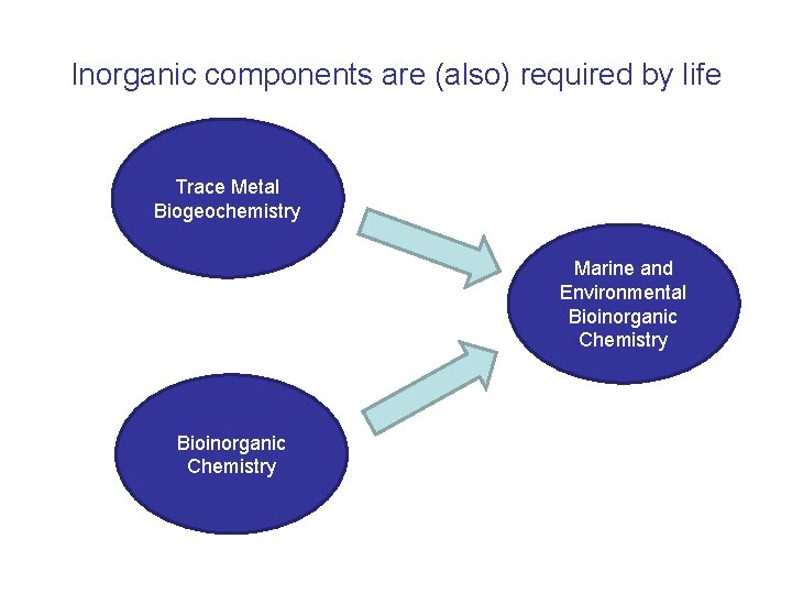 Bioinorganic Compounds Marine Bioinorganic Chemistry Trace Metal Biogeochemistry 12 741