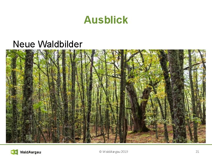 Ausblick Neue Waldbilder © Wald. Aargau 2019 21 