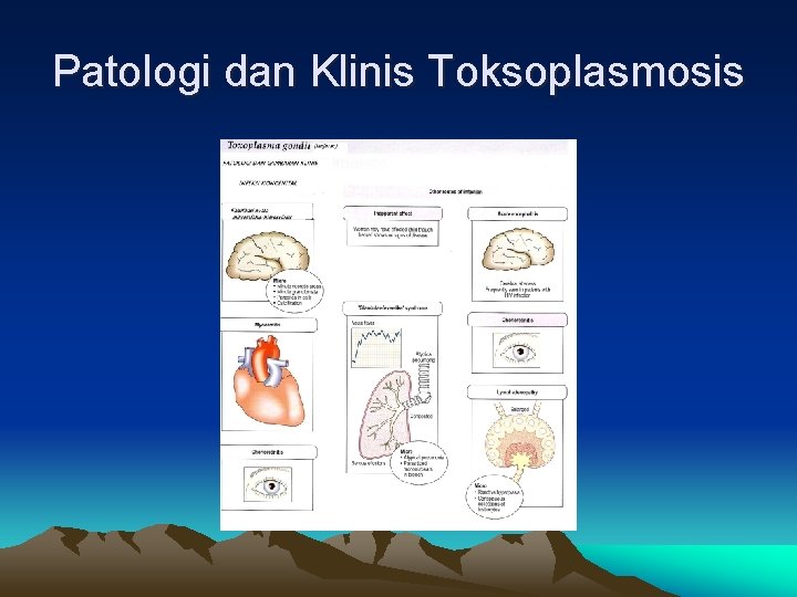 Patologi dan Klinis Toksoplasmosis 