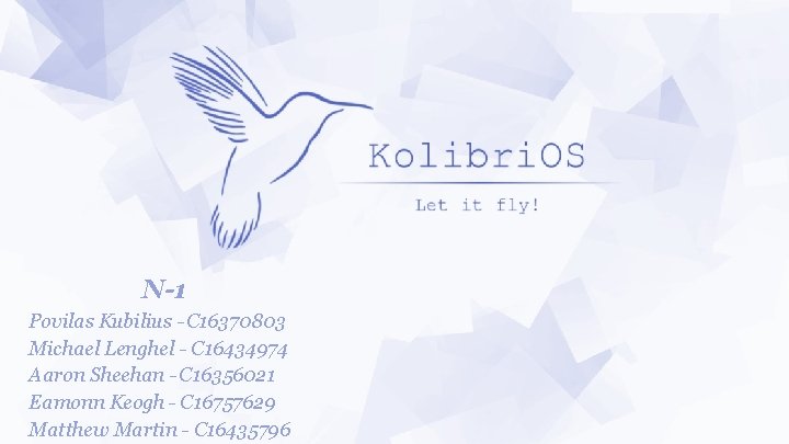 N-1 Povilas Kubilius - C 16370803 Michael Lenghel - C 16434974 Aaron Sheehan -