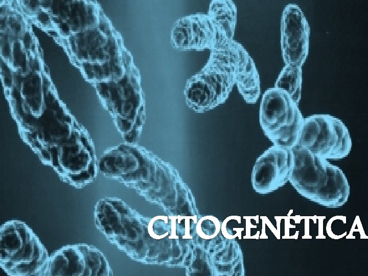 CITOGENÉTICA 