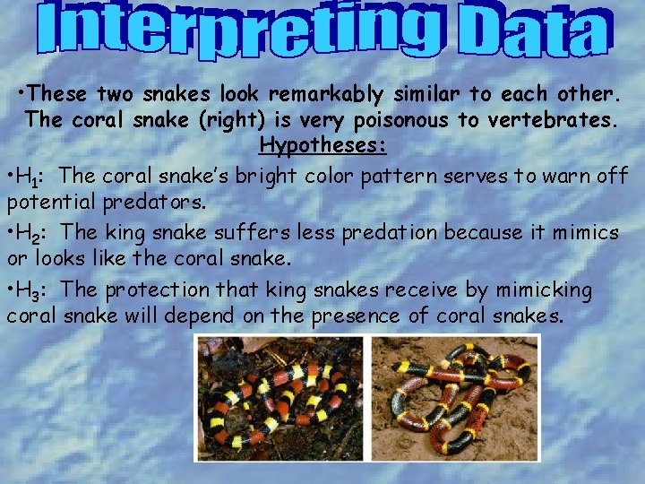  • These two snakes look remarkably similar to each other. The coral snake