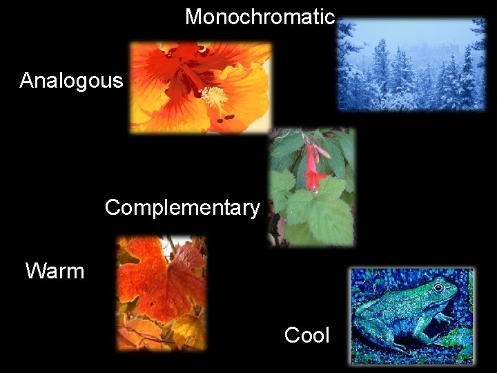  Monochromatic Analogous Complementary Warm Cool 