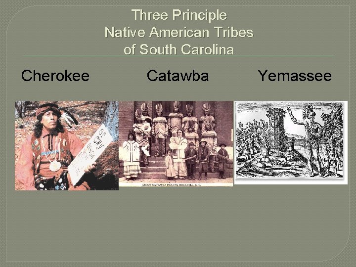 Three Principle Native American Tribes of South Carolina Cherokee Catawba Yemassee 