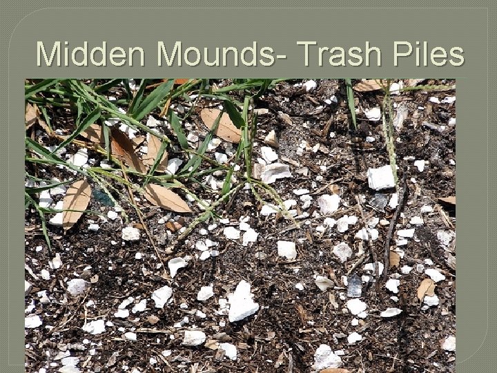 Midden Mounds- Trash Piles 