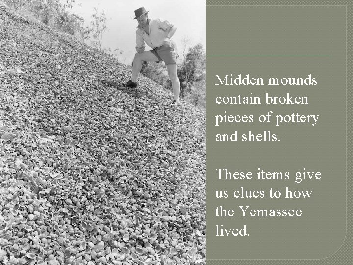 Midden mounds contain broken pieces of pottery and shells. These items give us clues