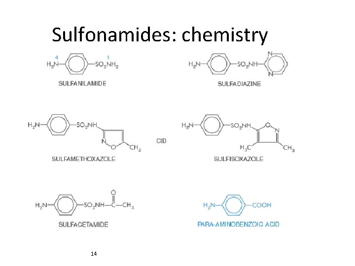 Sulfonamides: chemistry 14 