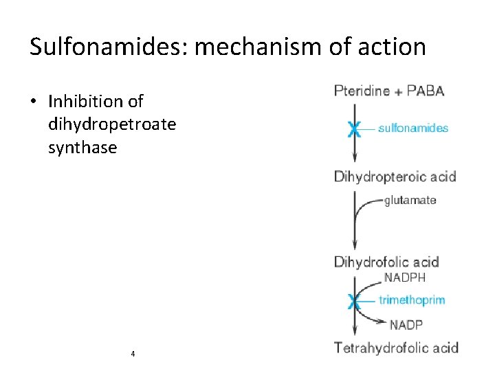 Sulfonamides: mechanism of action • Inhibition of dihydropetroate synthase 4 