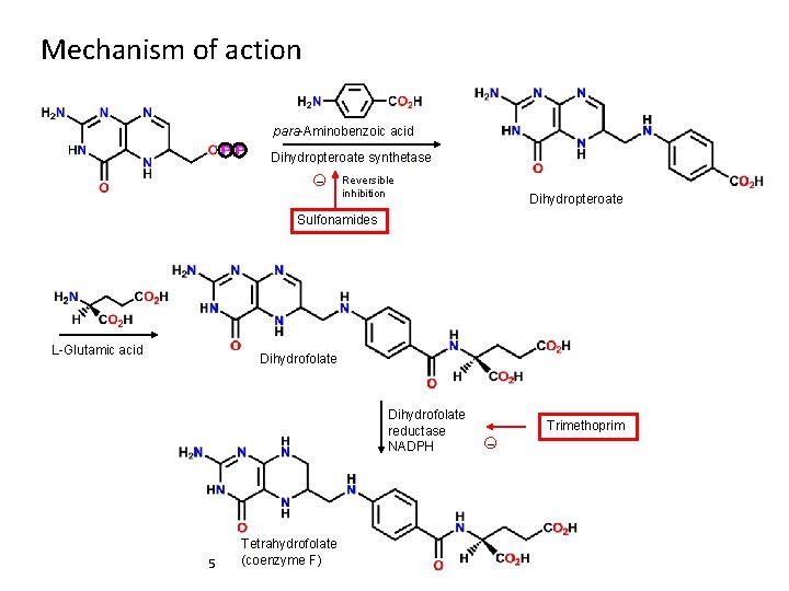 Mechanism of action para-Aminobenzoic acid Dihydropteroate synthetase _ Reversible inhibition Dihydropteroate Sulfonamides L-Glutamic acid