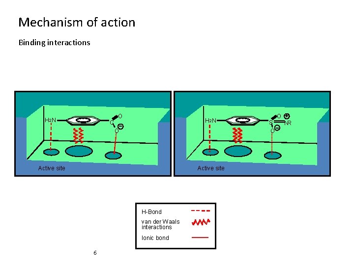 Mechanism of action Binding interactions H 2 N C O H 2 N O