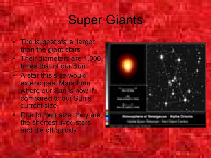 Super Giants • The largest stars, larger than the giant stars • Their diameters Super Giants • The largest stars, larger than the giant stars • Their diameters