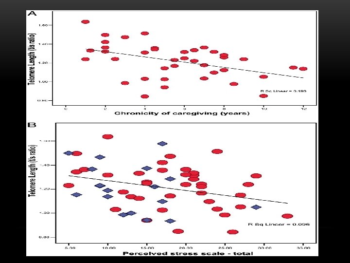 Epel, E. S. et al. (2004). Accelerated telomere shortening in response to life stress.