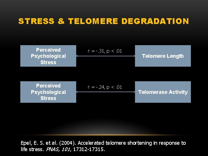 STRESS & TELOMERE DEGRADATION Perceived Psychological Stress r = -. 31, p <. 01