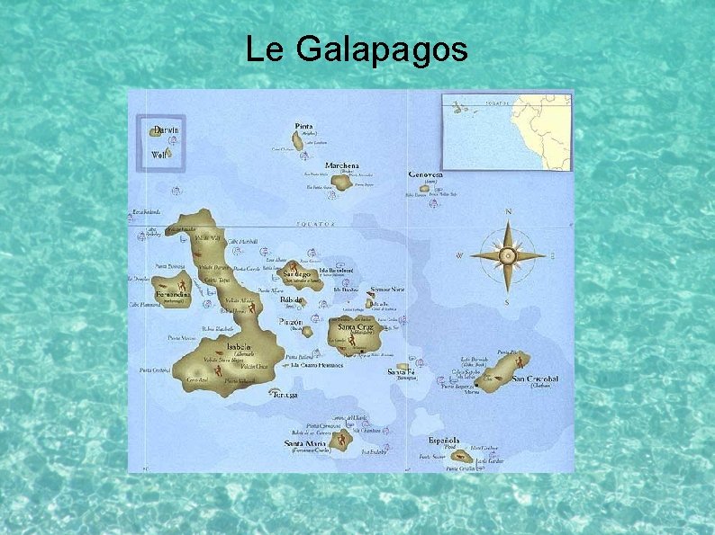 Le Galapagos 