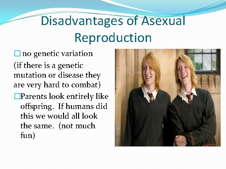 Disadvantages of Asexual Reproduction � no genetic variation (if there is a genetic mutation